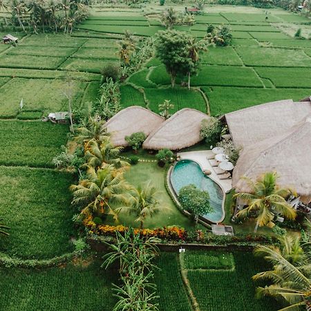 Villa Omah Padi Ubud מראה חיצוני תמונה